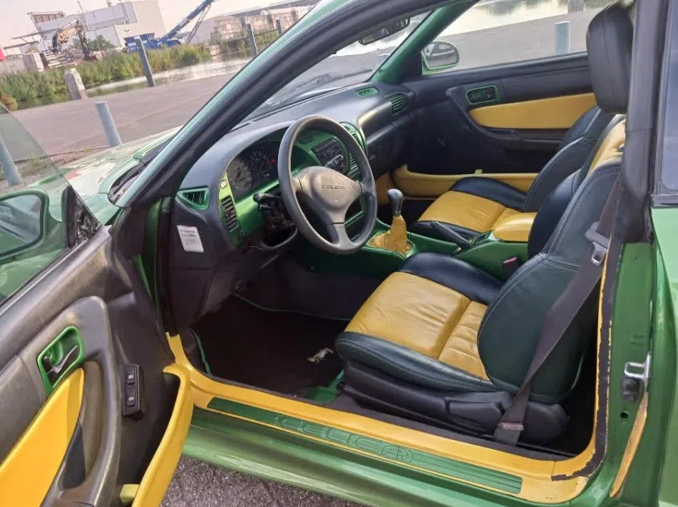 Dikke celica jonguh